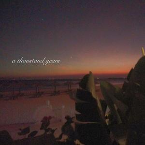 亚洲怡红院在线观看
